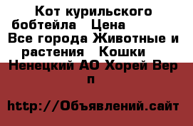 Кот курильского бобтейла › Цена ­ 5 000 - Все города Животные и растения » Кошки   . Ненецкий АО,Хорей-Вер п.